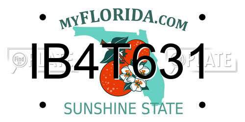 IB4T631 Florida License Plate