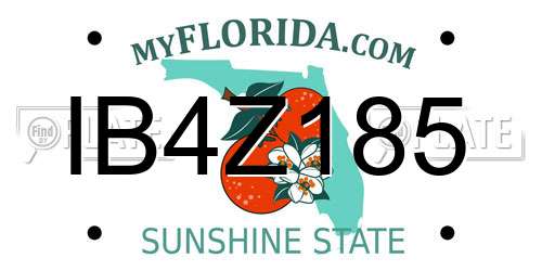 IB4Z185 Florida License Plate