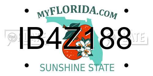 IB4Z188 Florida License Plate