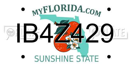 IB4Z429 Florida License Plate