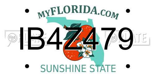 IB4Z479 Florida License Plate