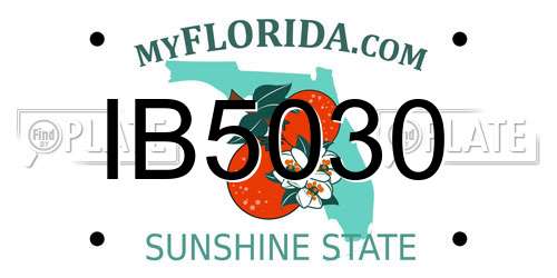 IB5030 Florida License Plate
