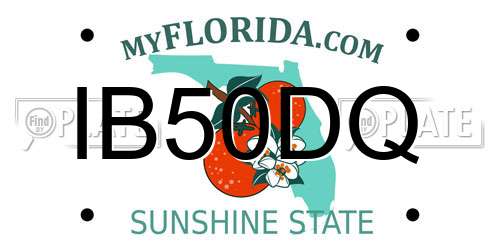 IB50DQ Florida License Plate