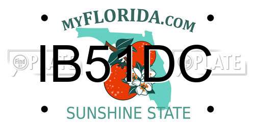IB51DC Florida License Plate