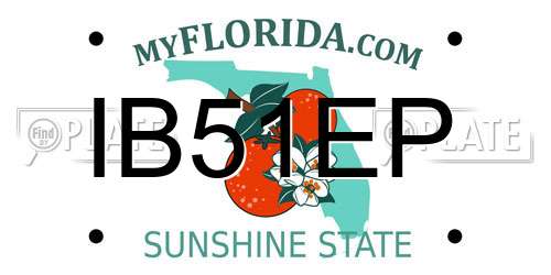 IB51EP Florida License Plate