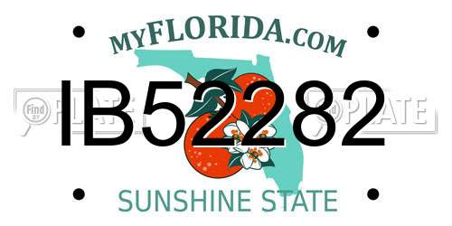 IB52282 Florida License Plate