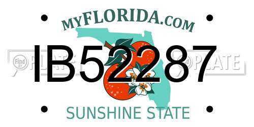 IB52287 Florida License Plate