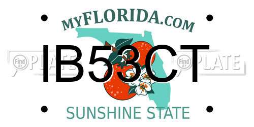 IB53CT Florida License Plate