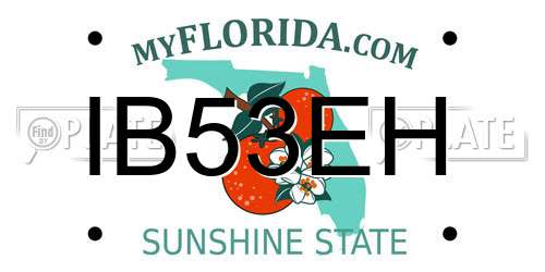 IB53EH Florida License Plate