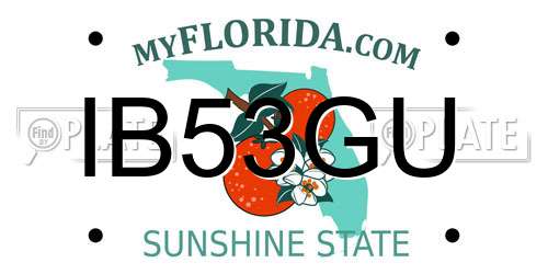 IB53GU Florida License Plate