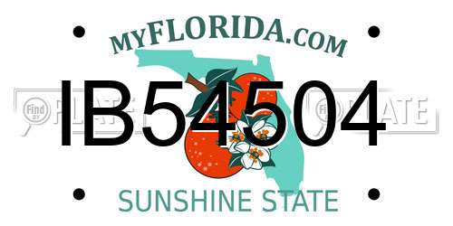 IB54504 Florida License Plate