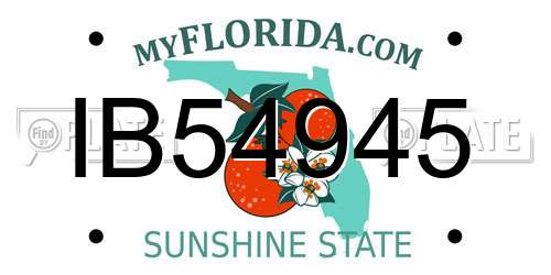 IB54945 Florida License Plate