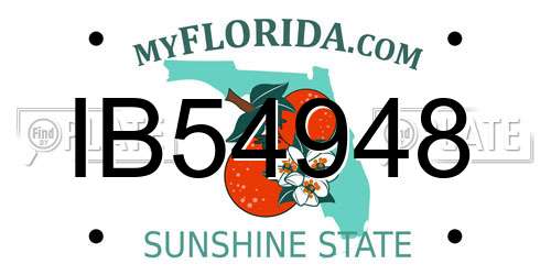 IB54948 Florida License Plate