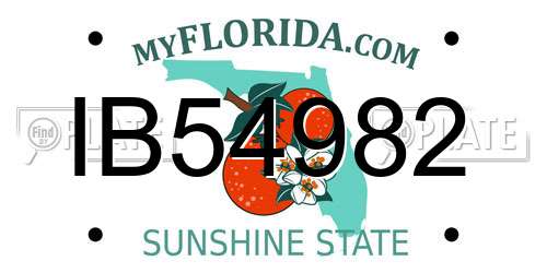 IB54982 Florida License Plate