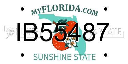 IB55487 Florida License Plate