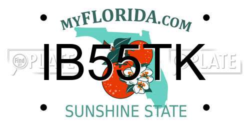 IB55TK Florida License Plate