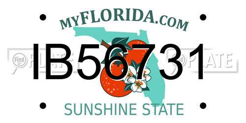 IB56731 Florida License Plate