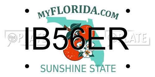 IB56ER Florida License Plate