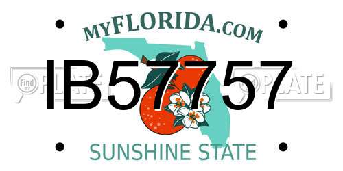 IB57757 Florida License Plate