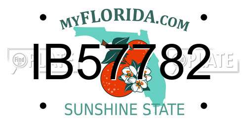 IB57782 Florida License Plate