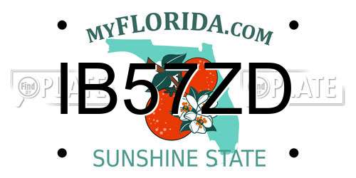 IB57ZD Florida License Plate