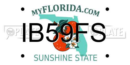 IB59FS Florida License Plate