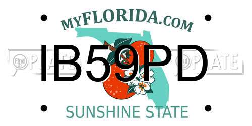 IB59PD Florida License Plate