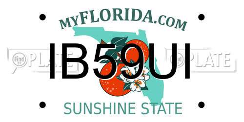 IB59UI Florida License Plate