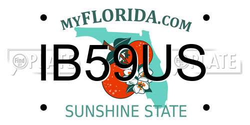 IB59US Florida License Plate