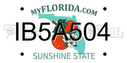IB5A504 Florida License Plate