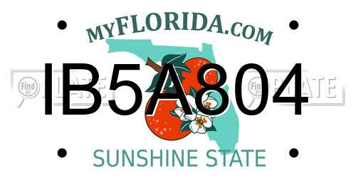 IB5A804 Florida License Plate