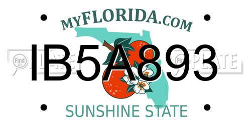IB5A893 Florida License Plate