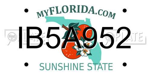 IB5A952 Florida License Plate
