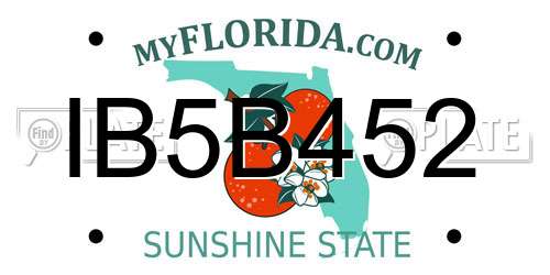IB5B452 Florida License Plate