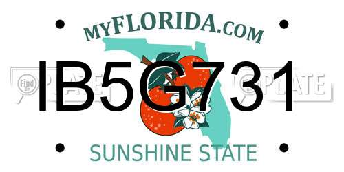 IB5G731 Florida License Plate