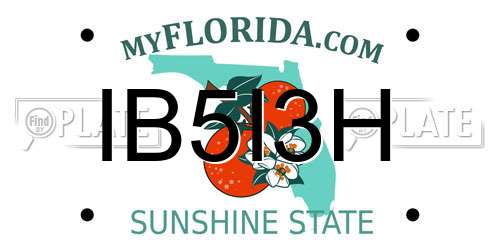 IB5I3H Florida License Plate