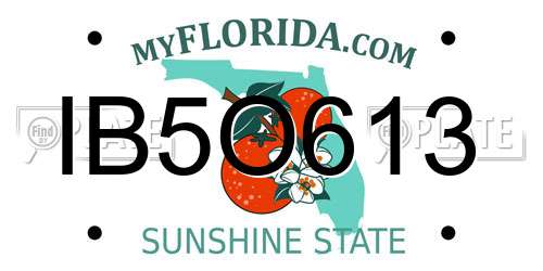 IB5O613 Florida License Plate