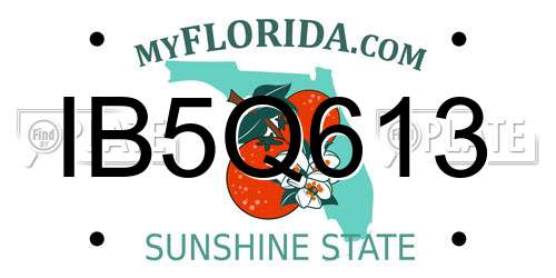 IB5Q613 Florida License Plate