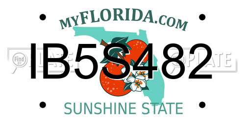 IB5S482 Florida License Plate