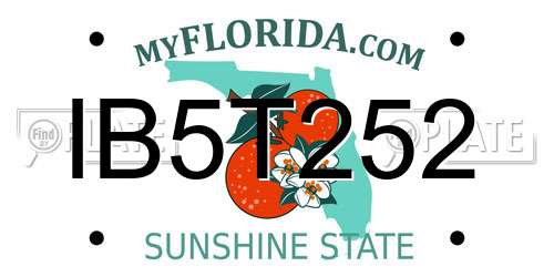 IB5T252 Florida License Plate