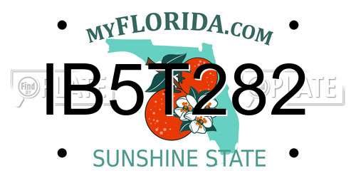 IB5T282 Florida License Plate