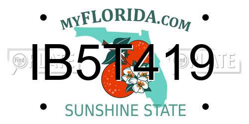 IB5T419 Florida License Plate