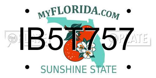 IB5T757 Florida License Plate