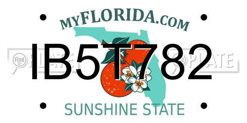 IB5T782 Florida License Plate