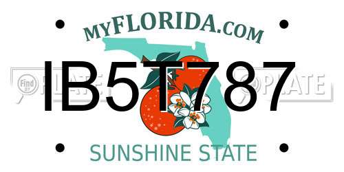IB5T787 Florida License Plate