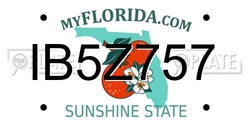 IB5Z757 Florida License Plate