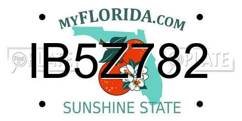 IB5Z782 Florida License Plate