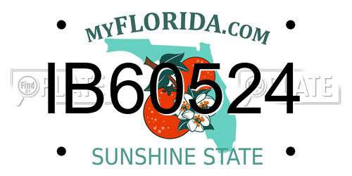 IB60524 Florida License Plate