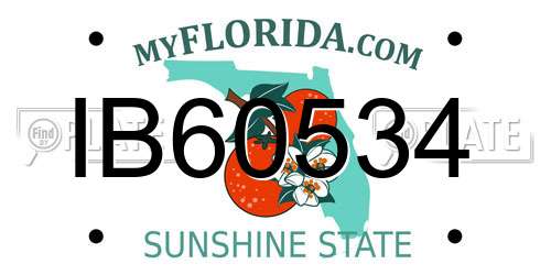 IB60534 Florida License Plate