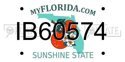 IB60574 Florida License Plate
